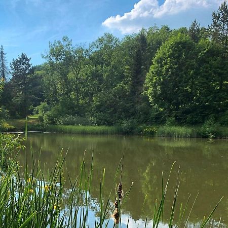 Apartament Donnershag Sontra Zewnętrze zdjęcie
